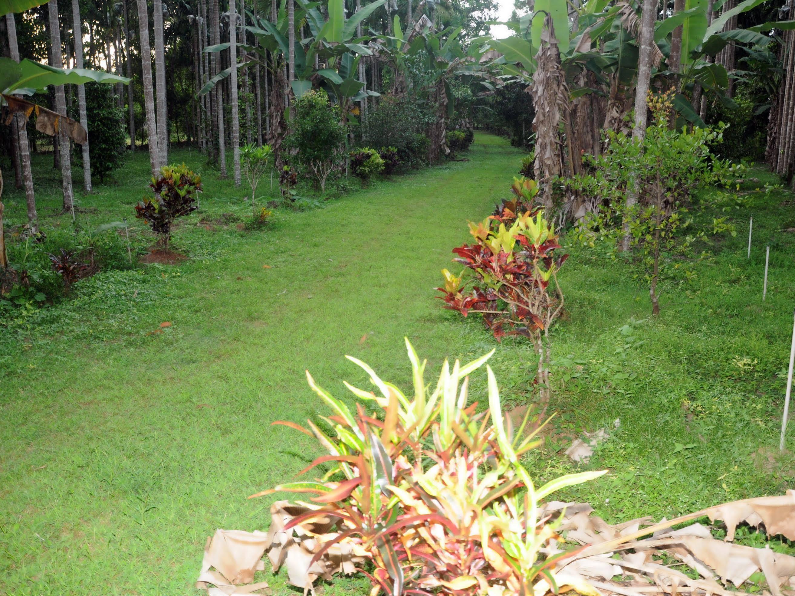 Sathwik Homestay Kumta Exterior photo